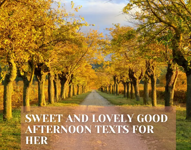 Sweet and Lovely Good Afternoon Texts for Her