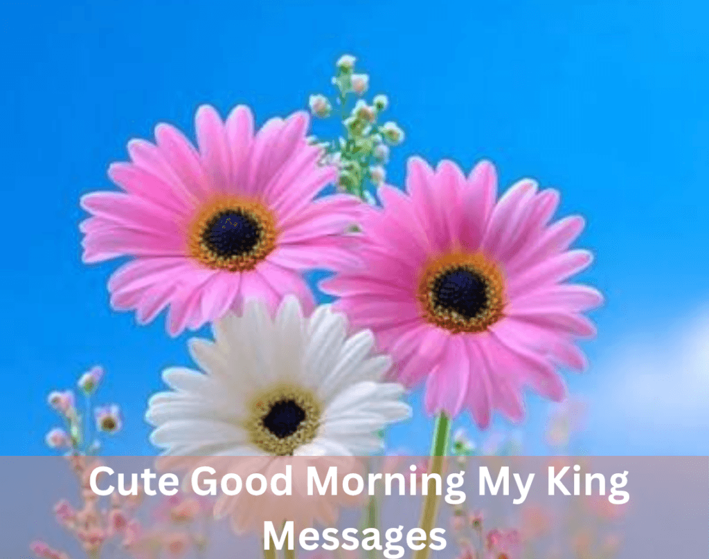 Good Morning My King Messages to Make Him Feel Special 7 Cute Good Morning My King Messages