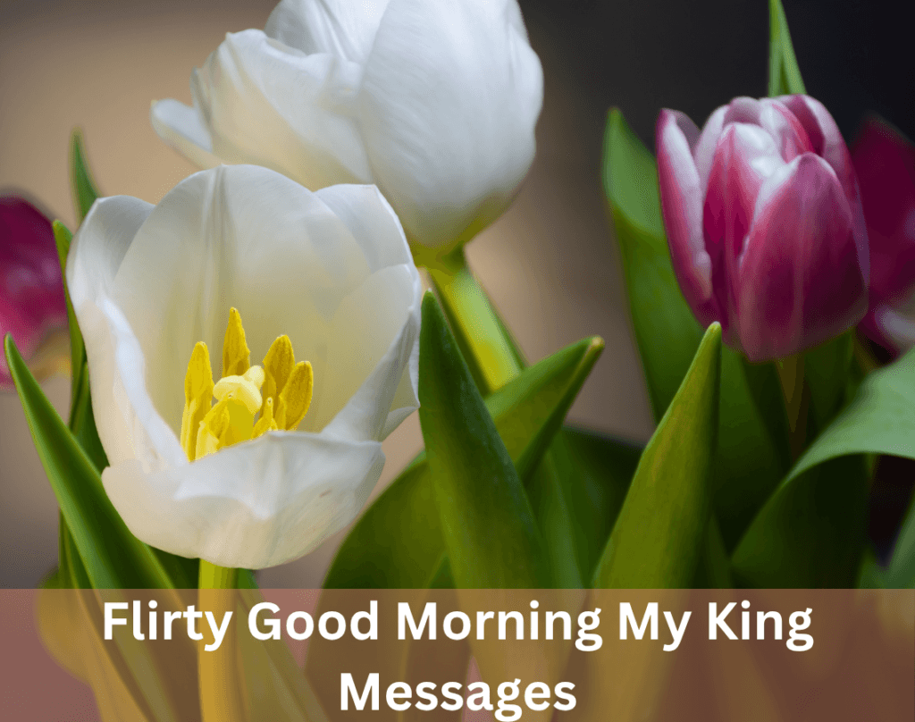 Good Morning My King Messages to Make Him Feel Special 6 Flirty Good Morning My King Messages
