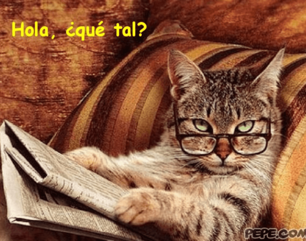 Funny Ways to Respond to Hola